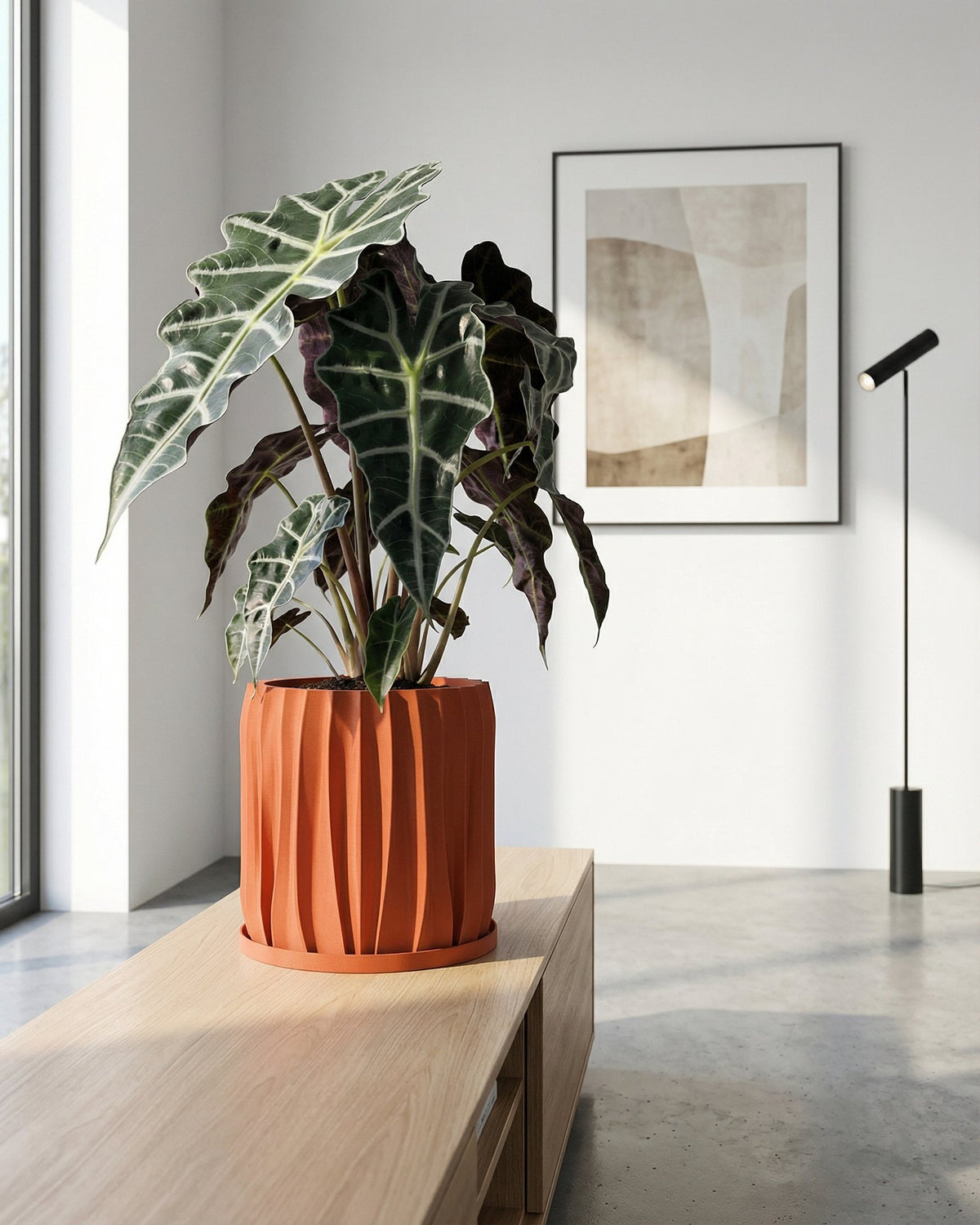 A vibrant pothos plant cascades from a textured terracotta planter, adding a touch of nature to a cozy living space.