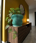 A green ribbed planter pot sits on a wooden cabinet, holding a plant with pink and dark green leaves, next to books and a geometric object.