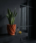 A Philodendron Gloriosum plant sits in a textured, terracotta-colored planter pot on a dark shelf against a dark wall.