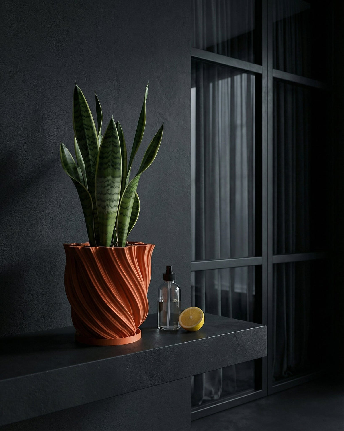 A Philodendron Gloriosum plant sits in a textured, terracotta-colored planter pot on a dark shelf against a dark wall.