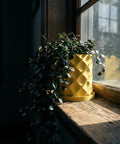 A yellow planter pot with a plant in it sits on a wooden windowsill, illuminated by sunlight.