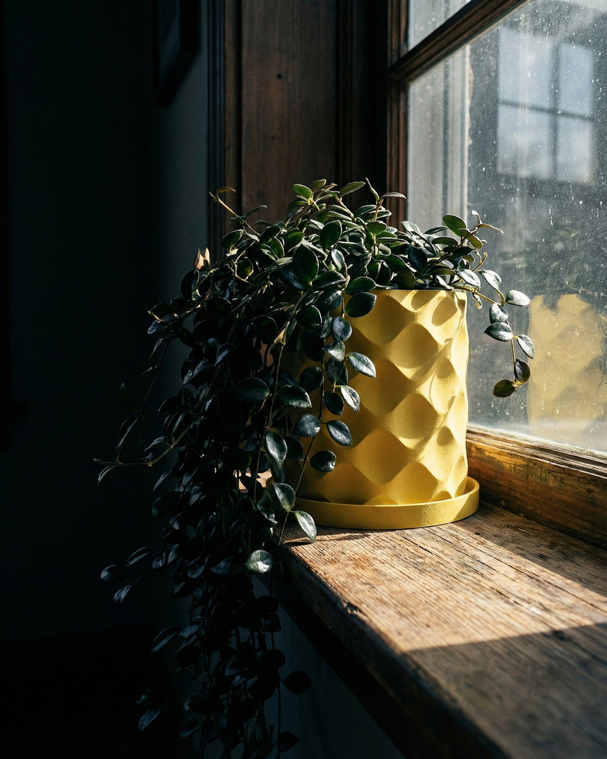 A yellow planter pot with a plant in it sits on a wooden windowsill, illuminated by sunlight.