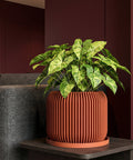 A terracotta planter pot with a diamond pattern holds a green plant on a marble-topped side table next to a gray sofa with a cream-colored throw.