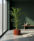 A terracotta planter with a green plant sits on a wooden table next to a gray couch with a throw blanket.