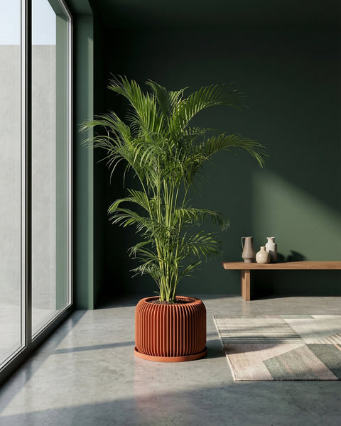 A terracotta planter with a green plant sits on a wooden table next to a gray couch with a throw blanket.