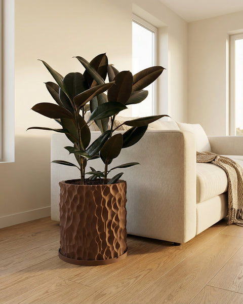 A rubber plant in a brown textured planter pot sits on a light wood floor next to a cream-colored couch.