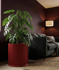 A red planter pot with a monstera plant sits next to a gray couch in a room with dark red walls and a floor lamp.