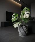 A Monstera plant in a textured gray planter pot sits on a white windowsill, bathed in sunlight.