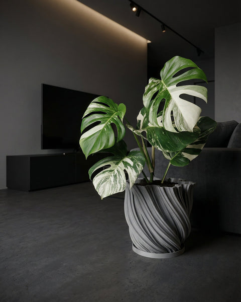 A Monstera plant in a textured gray planter pot sits on a white windowsill, bathed in sunlight.