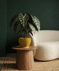 A vibrant yellow planter pot with a ribbed texture, holding a lush green plant, sits on a wooden table next to a cream-colored sofa.