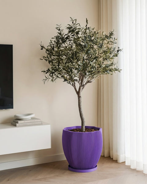 A spider plant in a purple planter pot sits on a dark wood table next to a gray sofa.
