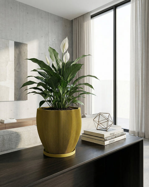 A vibrant pothos plant cascades from a textured, olive-green planter pot, sitting on a dark wood surface.