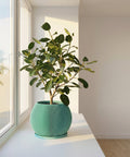 A green planter pot with a plant in it sits on a white windowsill next to a window.