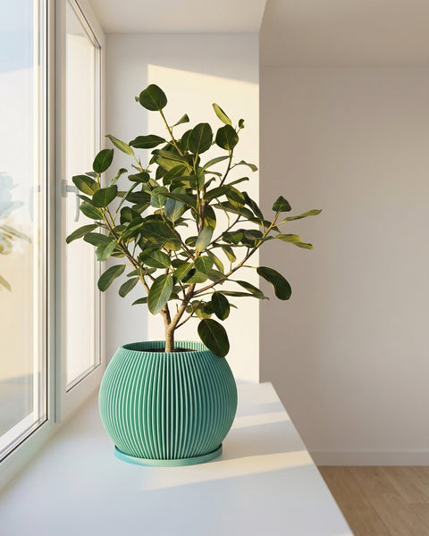 A green planter pot with a plant in it sits on a white windowsill next to a window.