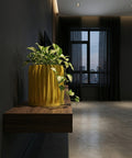 A vibrant yellow planter pot with a lush green plant sits atop a dark gray surface, adding a pop of color to the modern interior.