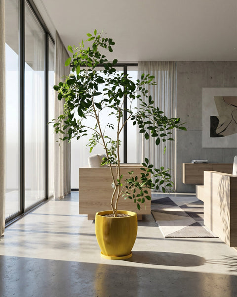 A yellow planter pot with a trailing plant sits on a wooden table next to a gray sofa. The pot has a textured, swirling design.