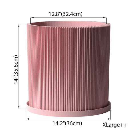 Candy Pink Ray
