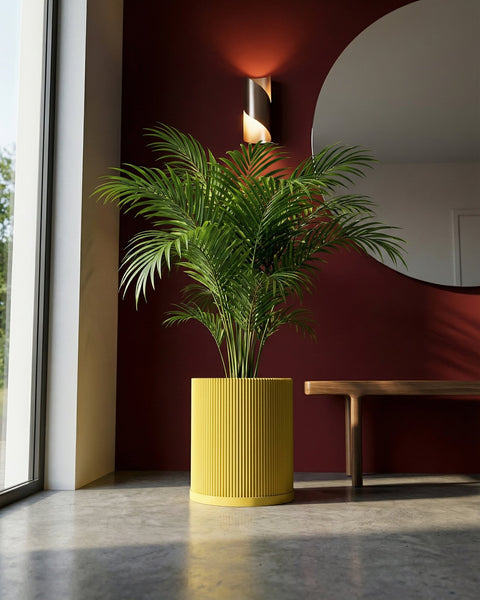 A vibrant yellow planter pot with a ribbed texture, holding a lush green palm, sits against a deep red wall.