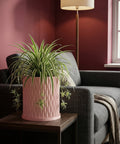 A pink planter pot with a green plant sits on a white windowsill, bathed in sunlight. The pot has a textured, woven design.