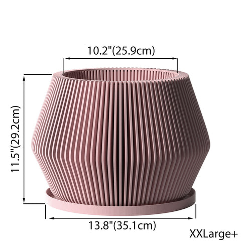 Candy Pink Echo