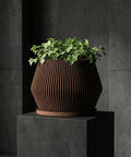 A Stromanthe plant in a brown, fluted planter pot sits atop a light wood cabinet. The plant has green and pink striped leaves. Next to the planter are three stacked books and another plant in a gray pot. A framed piece of art hangs on the wall behind the plants.