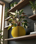 A yellow planter pot with a plant inside sits on a gray concrete cube. The pot has a fluted design and the plant has green and silver leaves. The cube is in a room with a concrete floor and a window.