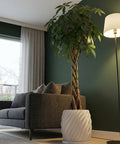 A money tree in a white, swirling planter pot sits next to a gray couch and a floor lamp in a modern living room.