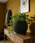 A black planter pot with a plant sits on a wooden table against a yellow wall with a coat rack and framed art.