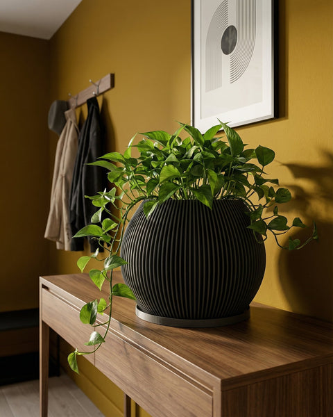 A black planter pot with a plant sits on a wooden table against a yellow wall with a coat rack and framed art.