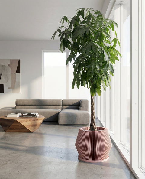 A pink planter pot with a green plant inside sits on a gray floor next to a white wall. The planter pot has a ribbed design and a saucer. In the background, there is a wooden bench and a window with white curtains.