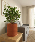 A planter pot with a wavy design sits on a wooden table next to a gray couch in a living room. The pot holds a lush green plant.