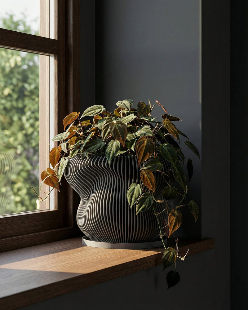 A black planter pot with a plant sits on a wooden table against a yellow wall with a coat rack and framed art.