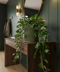 A green planter pot with a wavy design sits on a wooden table, overflowing with a lush, leafy plant.