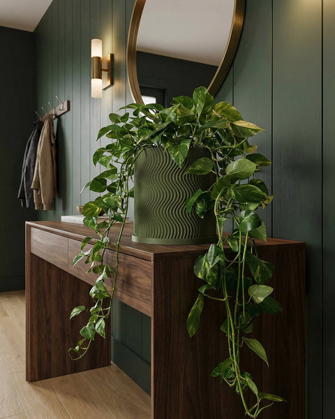 A green planter pot with a wavy design sits on a wooden table, overflowing with a lush, leafy plant.