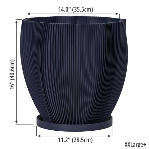 Deep Ocean Blue Coconut