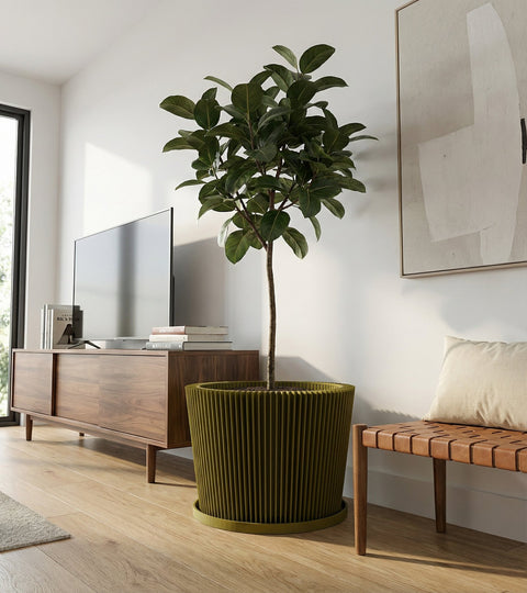 A banana plant in a textured, chartreuse planter pot sits on a marble-topped side table next to a gray couch with a cream-colored throw.