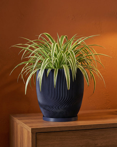 A spider plant in a dark blue, wavy-textured planter pot sits on a wooden cabinet against an orange wall.