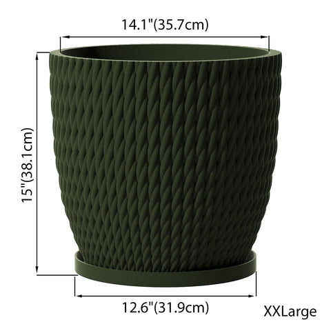 Avocado Green Vine
