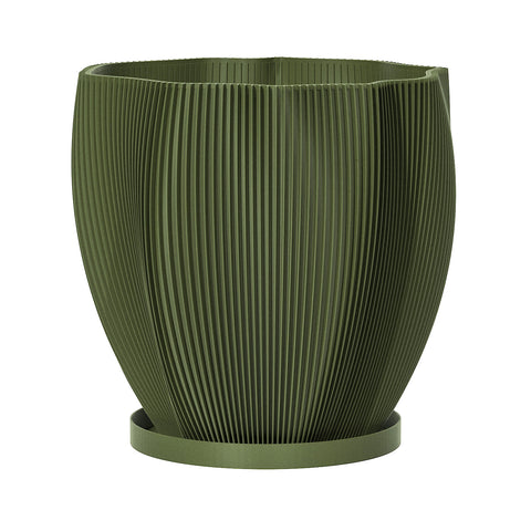 Avocado Green Coconut