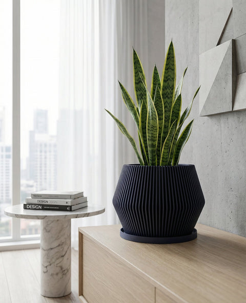 A dark blue planter pot with vertical ridges sits on a light wood table next to a gray chair. The planter contains a rubber plant with large, glossy green leaves. The background features a concrete wall and sheer white curtains.