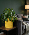 A vibrant yellow planter pot with a wavy design holds a lush green Pilea plant, set on a dark wood table next to a gray couch.