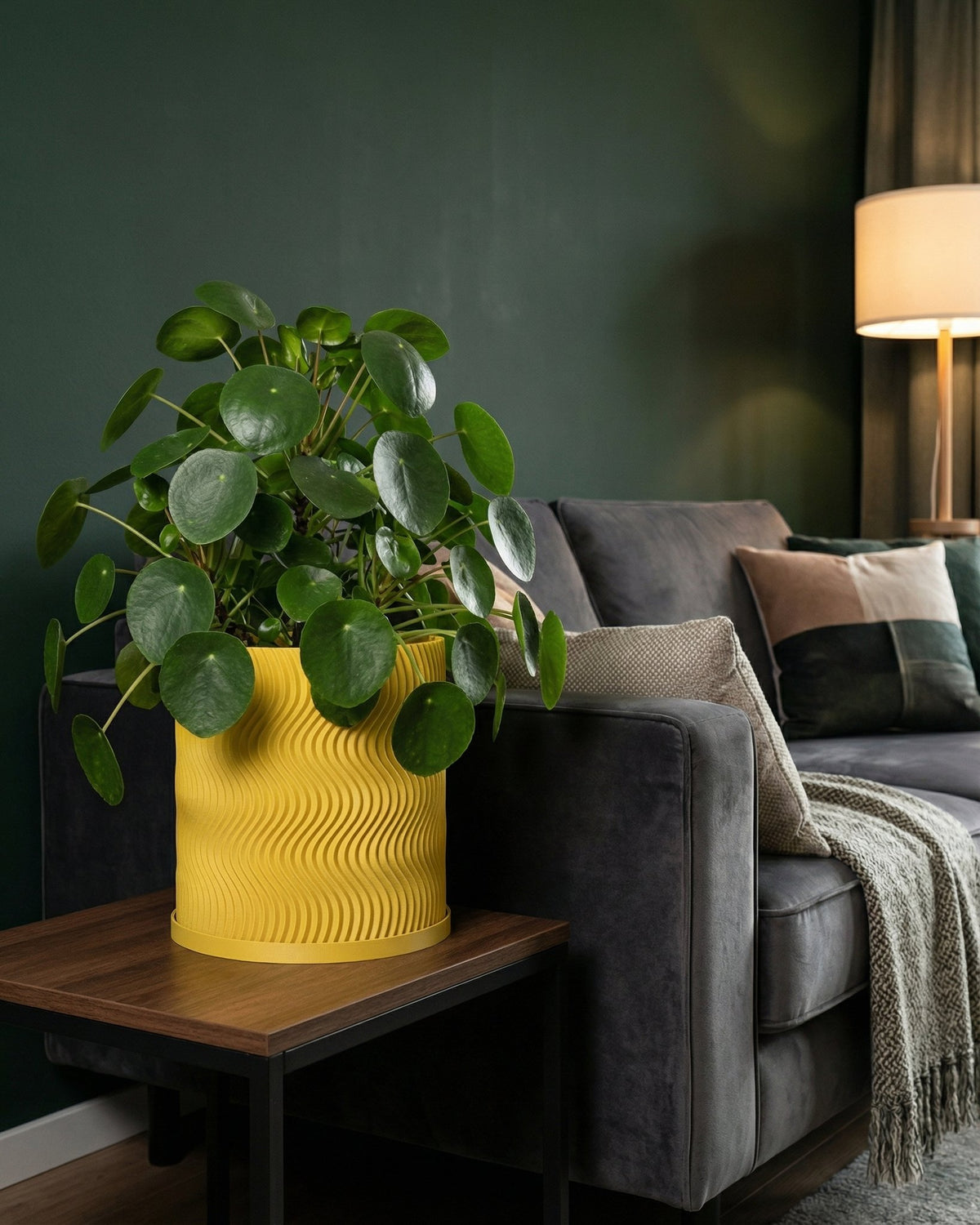 A vibrant yellow planter pot with a wavy design holds a lush green Pilea plant, set on a dark wood table next to a gray couch.