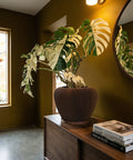 A Monstera plant in a brown, vertically-striped planter pot sits atop a wooden cabinet with design books.