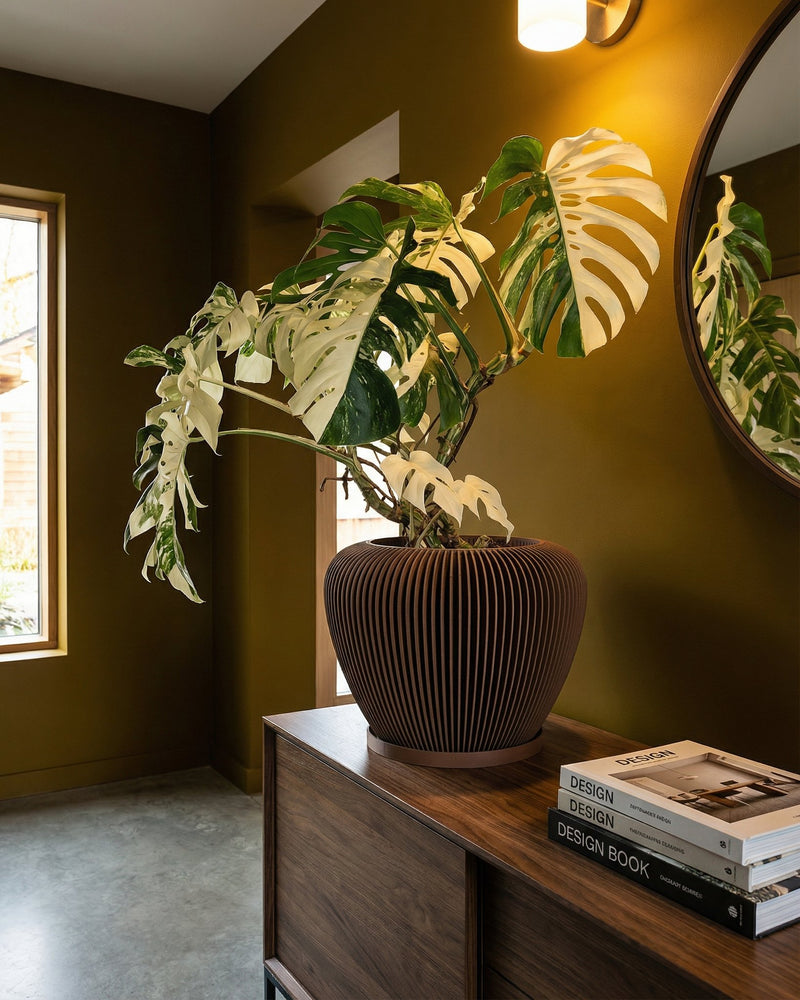 A Monstera plant in a brown, vertically-striped planter pot sits atop a wooden cabinet with design books.