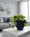 A black planter pot with a plant sitting on a marble coffee table in a living room. The living room has a gray couch with patterned pillows and a large painting on the wall. There is a window with white curtains in the background.