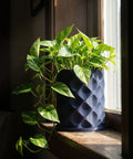 A pothos plant sits in a blue geometric planter pot on a wooden windowsill, bathed in sunlight.