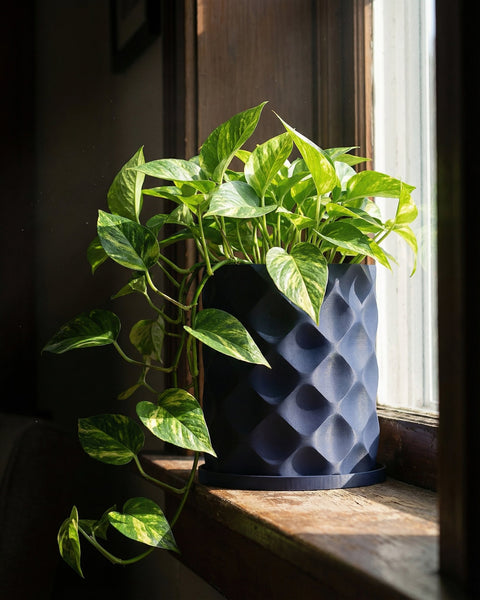 A pothos plant sits in a blue geometric planter pot on a wooden windowsill, bathed in sunlight.