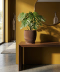 A Monstera plant sits in a brown, ridged planter pot on a wooden table against a yellow wall with a round mirror.