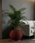 A tall, vibrant green Monstera plant is potted in a striking, vertically ribbed red planter. The planter sits atop a modern, light-wood table with a unique, open base design. The setting is a bright, minimalist living space with a gray sofa, abstract art, and sheer white curtains.