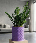 A begonia plant with spotted leaves sits in a purple woven planter pot on a wooden windowsill.